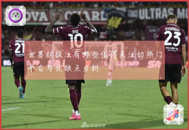 世界杯投注有哪些值得关注的热门平台与优缺点分析