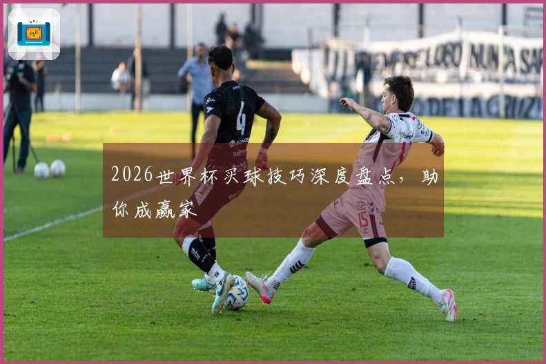 2026世界杯买球技巧深度盘点，助你成赢家