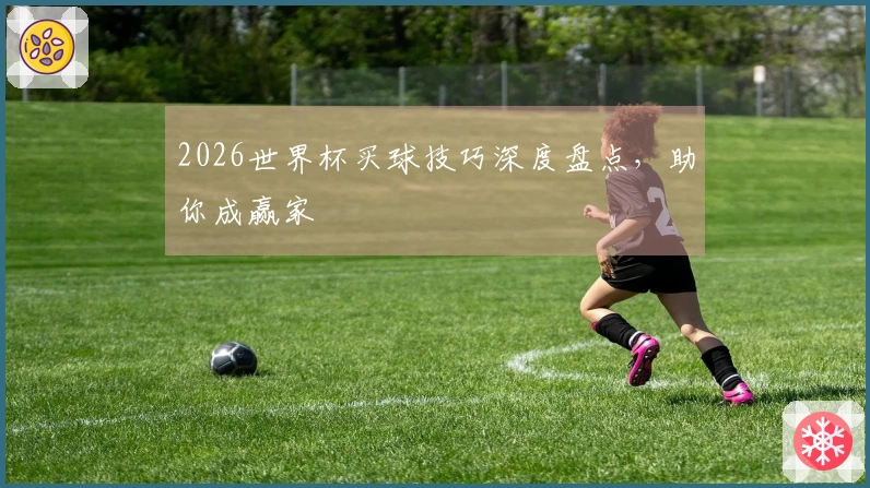 2026世界杯买球技巧深度盘点，助你成赢家