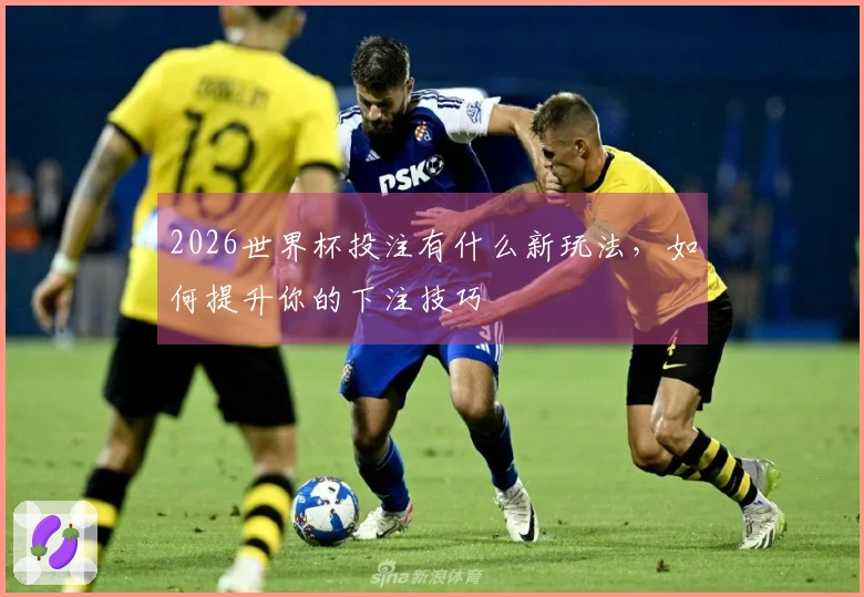 2026世界杯投注有什么新玩法，如何提升你的下注技巧
